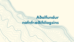 Aðalfundur