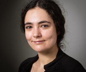 Ermenegilda Rachel Müller